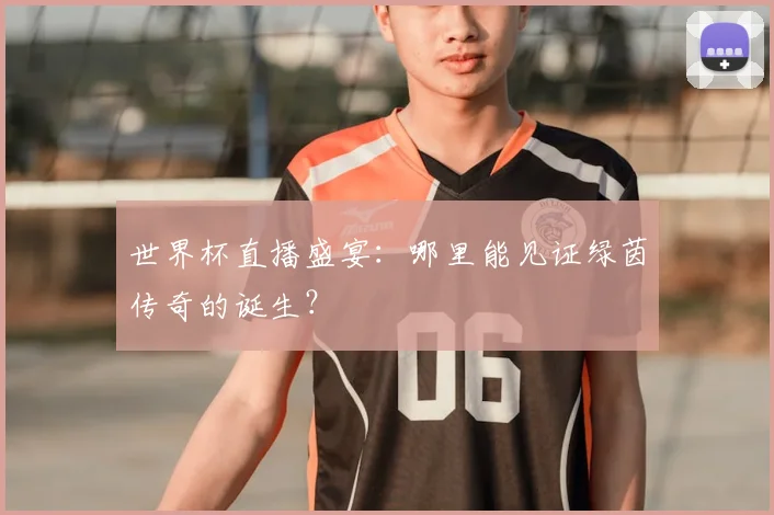 世界杯直播盛宴:哪里能见证绿茵传奇的诞生?