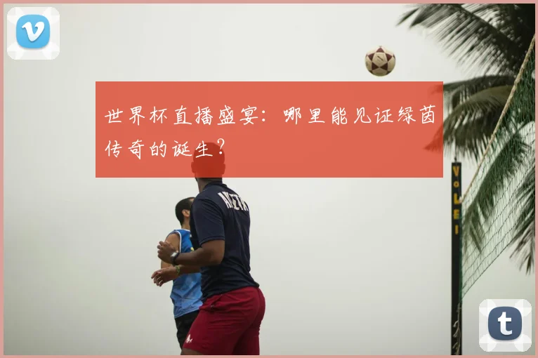 世界杯直播盛宴：哪里能见证绿茵传奇的诞生？