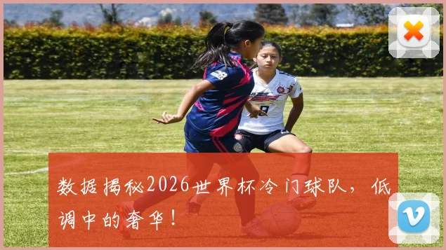 数据揭秘2026世界杯冷门球队，低调中的奢华！
