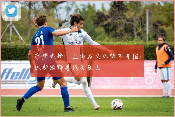 守望先锋：上海龙之队势不可挡，休斯顿野兽能否阻击